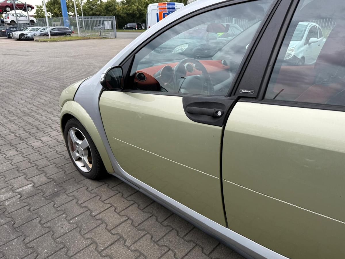 Smart ForFour 454 original Tür vorn links EAR Melon Green Rohbau BJ05